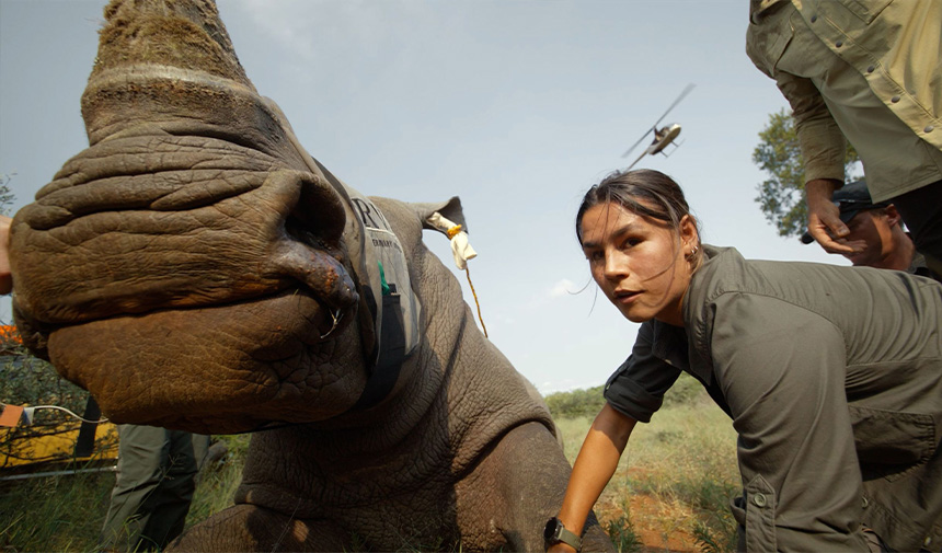 Defender Trophy İçin Başvuru Süreci Başladı